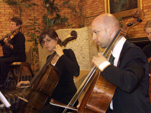 Die Cello Gruppe