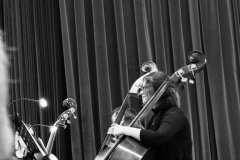 227f53ee-70dd-473d-b172-804cb45e785e-scaled